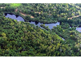 Property photo 2 - 419 +/- Acres offered in 6 Tracts, Land Auction