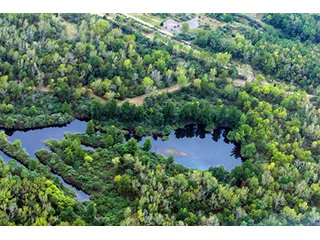 Property photo 11 - 419 +/- Acres offered in 6 Tracts, Land Auction