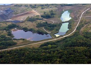 Property photo 5 - 419 +/- Acres offered in 6 Tracts, Land Auction