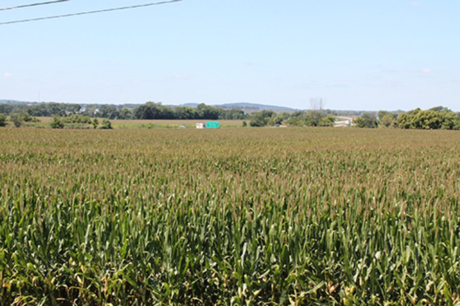 240+/- Acres offered in 4 Tracts, Real Estate Land Auction