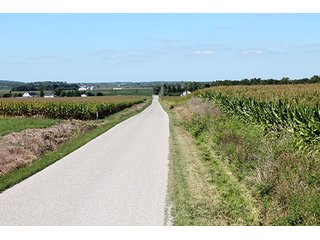 Property photo 2 - 240+/- Acres offered in 4 Tracts, Real Estate Land Auction