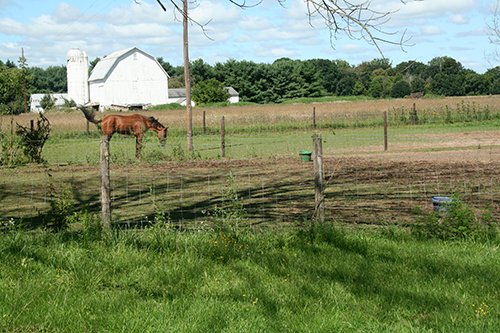 Property photo 8 - 60+/- Acres Offered in 2 Tracts, Real Estate Auction