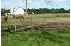 Property photo 8 - 60+/- Acres Offered in 2 Tracts, Real Estate Auction