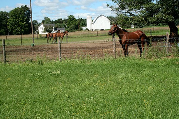 60+/- Acres Offered in 2 Tracts, Real Estate Auction