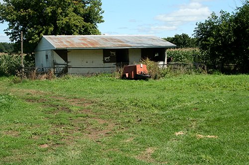 Property photo 23 - 60+/- Acres Offered in 2 Tracts, Real Estate Auction