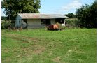 Property photo 23 - 60+/- Acres Offered in 2 Tracts, Real Estate Auction