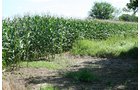 Property photo 3 - 60+/- Acres Offered in 2 Tracts, Real Estate Auction