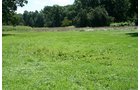 Property photo 4 - 60+/- Acres Offered in 2 Tracts, Real Estate Auction
