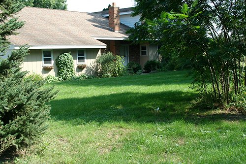 Property photo 10 - 60+/- Acres Offered in 2 Tracts, Real Estate Auction