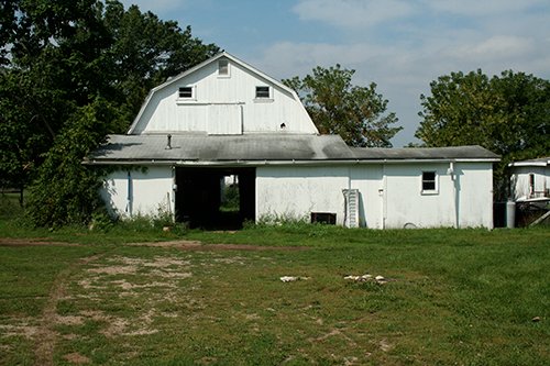 Property photo 25 - 60+/- Acres Offered in 2 Tracts, Real Estate Auction