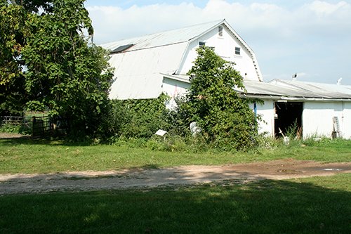 Property photo 21 - 60+/- Acres Offered in 2 Tracts, Real Estate Auction