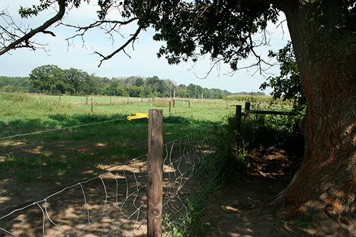 Property photo 1 - 60+/- Acres Offered in 2 Tracts, Real Estate Auction