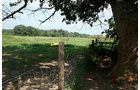 Property photo 1 - 60+/- Acres Offered in 2 Tracts, Real Estate Auction