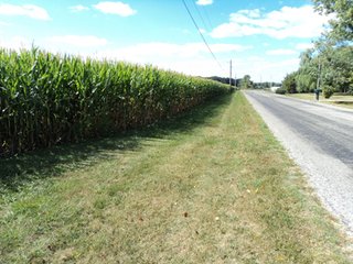 Property photo 8 - 119+/- Acres & Improvements Land Auction offered in 4 Tracts