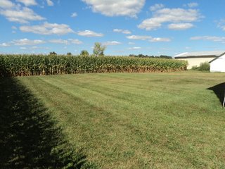 Property photo 5 - 119+/- Acres & Improvements Land Auction offered in 4 Tracts