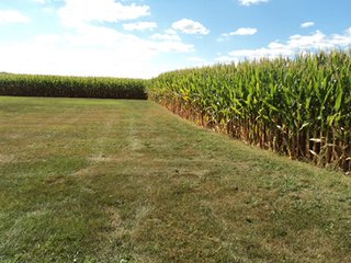 Property photo 15 - 119+/- Acres & Improvements Land Auction offered in 4 Tracts