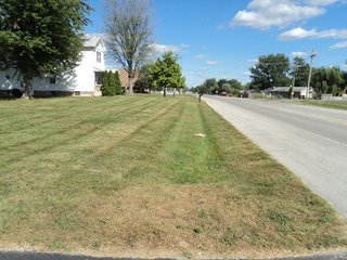 Property photo 18 - 119+/- Acres & Improvements Land Auction offered in 4 Tracts