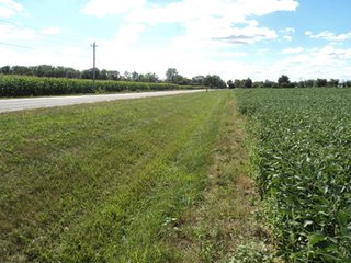 Property photo 6 - 119+/- Acres & Improvements Land Auction offered in 4 Tracts