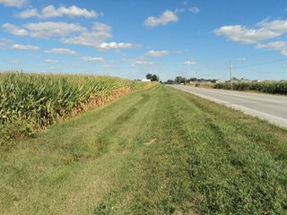 Property photo 13 - 119+/- Acres & Improvements Land Auction offered in 4 Tracts