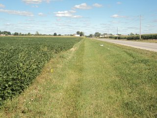 Property photo 14 - 119+/- Acres & Improvements Land Auction offered in 4 Tracts