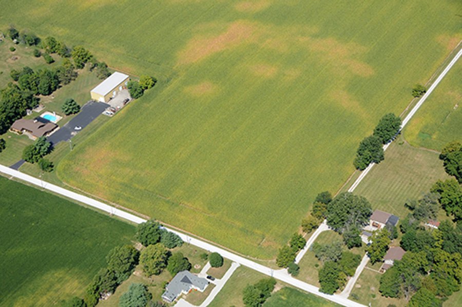 219.2+/- Acres offered in 4 Tracts, from 3.2 to 117 AcresLAND AUCTION