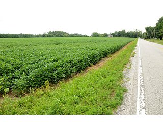 TRACT 2 - 219.2+/- Acres offered in 4 Tracts, from 3.2 to 117 AcresLAND AUCTION
