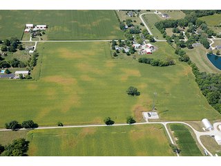 TRACT 3 - 219.2+/- Acres offered in 4 Tracts, from 3.2 to 117 AcresLAND AUCTION