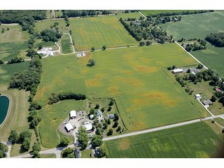 TRACT 3 - 219.2+/- Acres offered in 4 Tracts, from 3.2 to 117 AcresLAND AUCTION