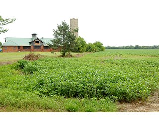 TRACT 4 - 219.2+/- Acres offered in 4 Tracts, from 3.2 to 117 AcresLAND AUCTION
