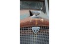 Property photo 37 - TRACTOR & FARM ANTIQUE AUCTION