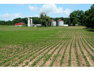 Property photo 11 - 160 +/- Acres offered in 3 TractsLAND AUCTION