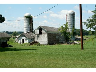 Property photo 16 - 160 +/- Acres offered in 3 TractsLAND AUCTION