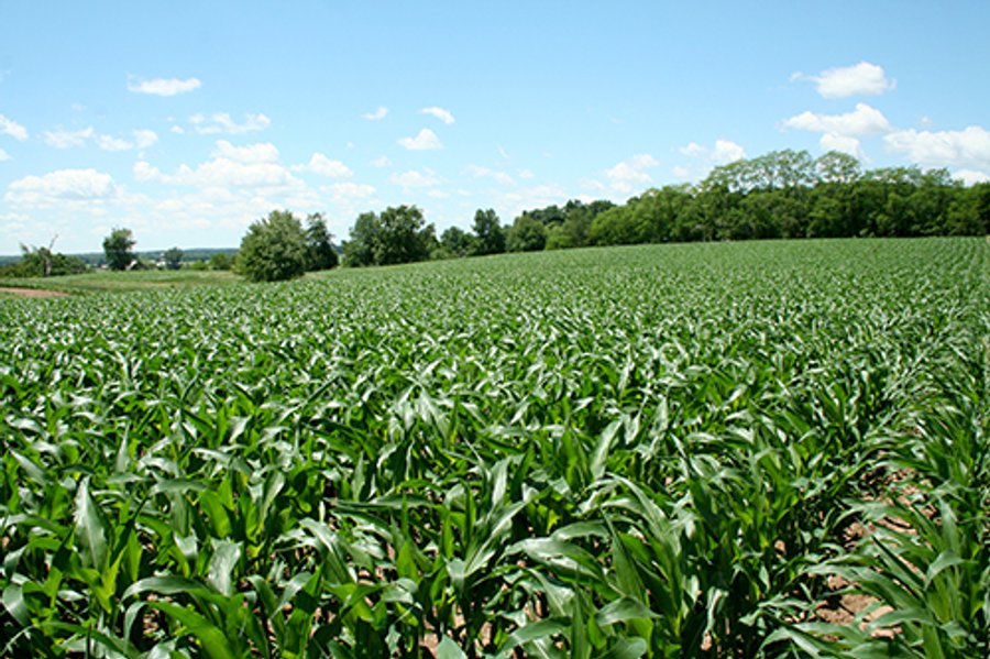 160 +/- Acres offered in 3 TractsLAND AUCTION