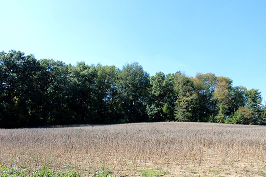65.04+/- Acres offered in 2 Tracts - ABSOLUTE LAND AUCTION - REGARDLESS OF PRICE - Condo in Warsaw: SELLING WITH RESERVE