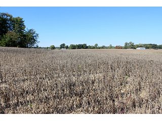 Farmland - 65.04+/- Acres offered in 2 Tracts - ABSOLUTE LAND AUCTION - REGARDLESS OF PRICE - Condo in Warsaw: SELLING WITH RESERVE