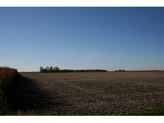 Property photo 5 - 33.32 Acres LAND AUCTION