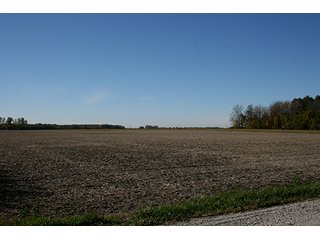 Property photo 8 - 33.32 Acres LAND AUCTION