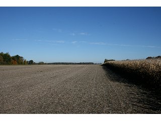 Property photo 3 - 33.32 Acres LAND AUCTION