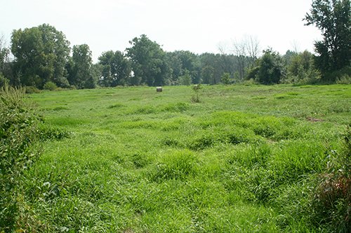 Property photo 2 - 87+/- Acres offered in 4 TractsLAND AUCTION
