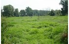 Property photo 2 - 87+/- Acres offered in 4 TractsLAND AUCTION