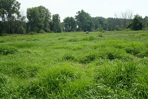 Property photo 5 - 87+/- Acres offered in 4 TractsLAND AUCTION