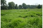Property photo 5 - 87+/- Acres offered in 4 TractsLAND AUCTION