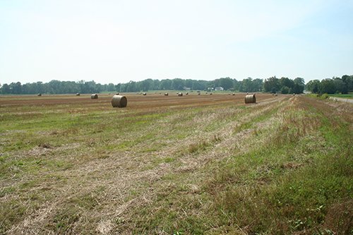 Property photo 7 - 87+/- Acres offered in 4 TractsLAND AUCTION