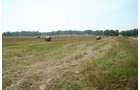 Property photo 7 - 87+/- Acres offered in 4 TractsLAND AUCTION