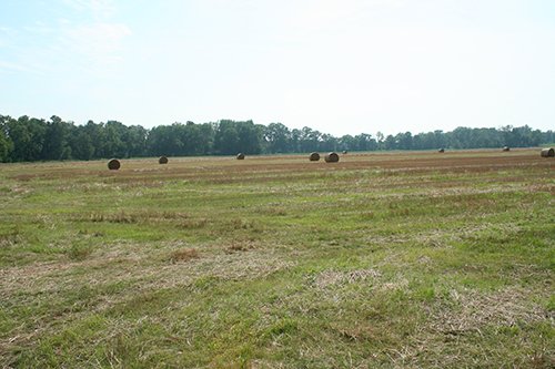 Property photo 9 - 87+/- Acres offered in 4 TractsLAND AUCTION