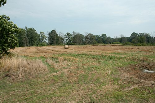 Property photo 1 - 87+/- Acres offered in 4 TractsLAND AUCTION