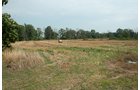 Property photo 1 - 87+/- Acres offered in 4 TractsLAND AUCTION