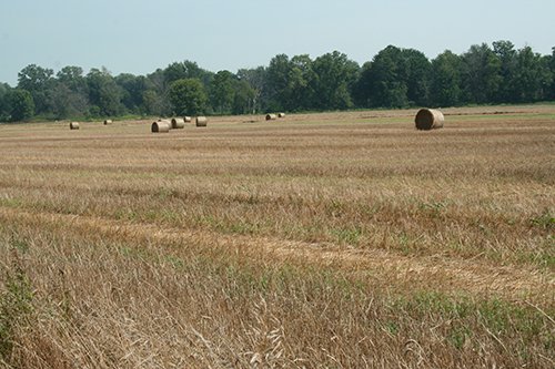 Property photo 10 - 87+/- Acres offered in 4 TractsLAND AUCTION