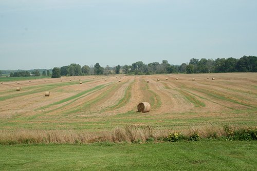 Property photo 3 - 87+/- Acres offered in 4 TractsLAND AUCTION