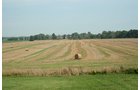 Property photo 3 - 87+/- Acres offered in 4 TractsLAND AUCTION